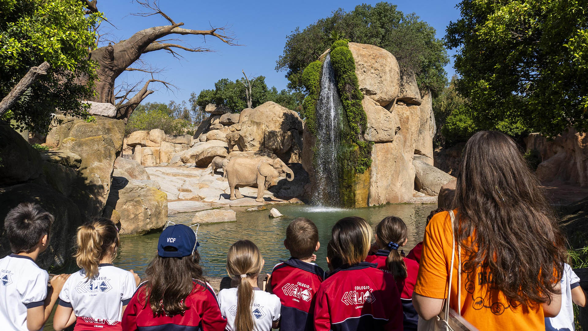Grupo escolar en BIOPARC Valencia