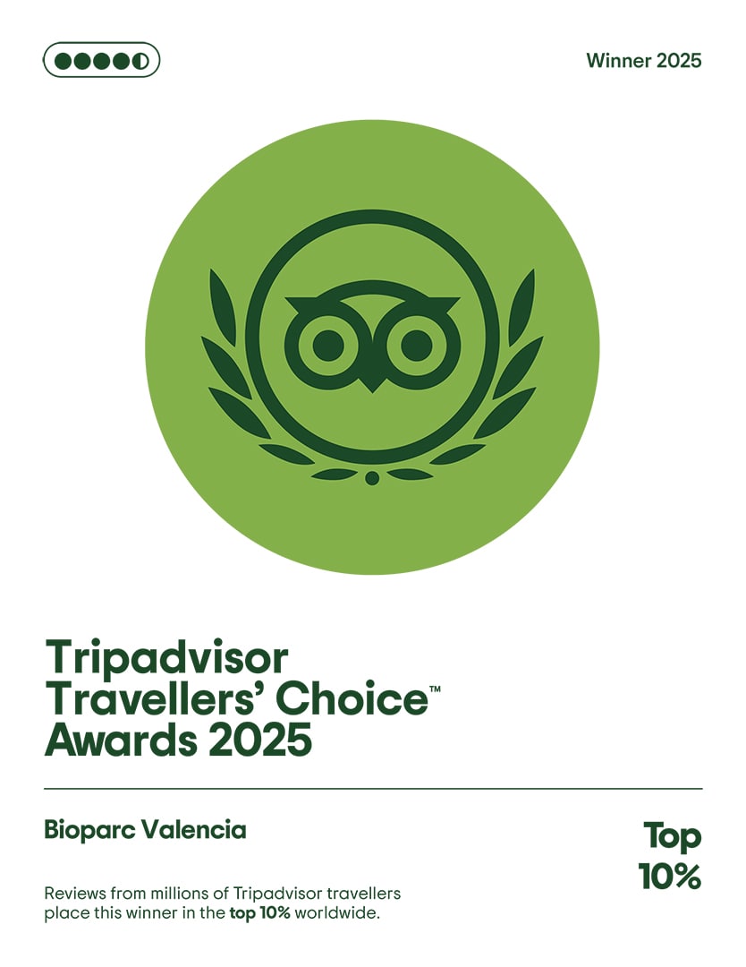BIOPARC Valencia premio Travellers Choice 2025 de TripAdvisor