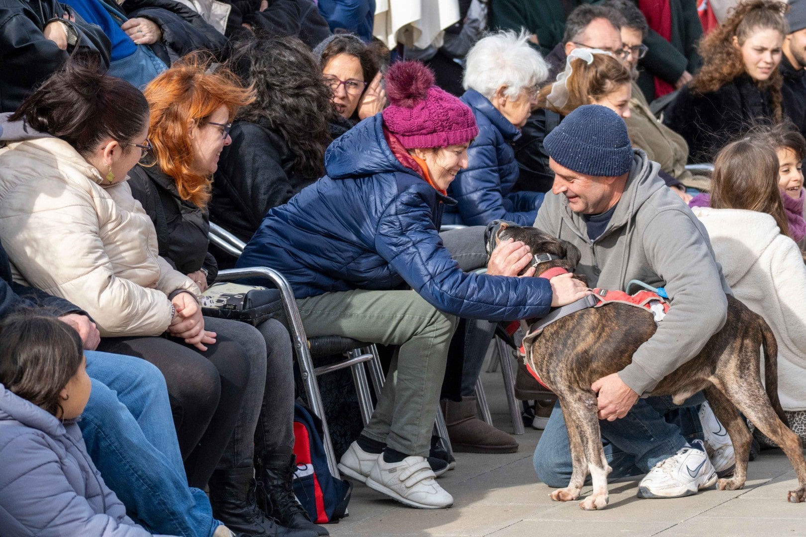 El Desfile de perros se ha celebrado este domingo, 21 de diciembre