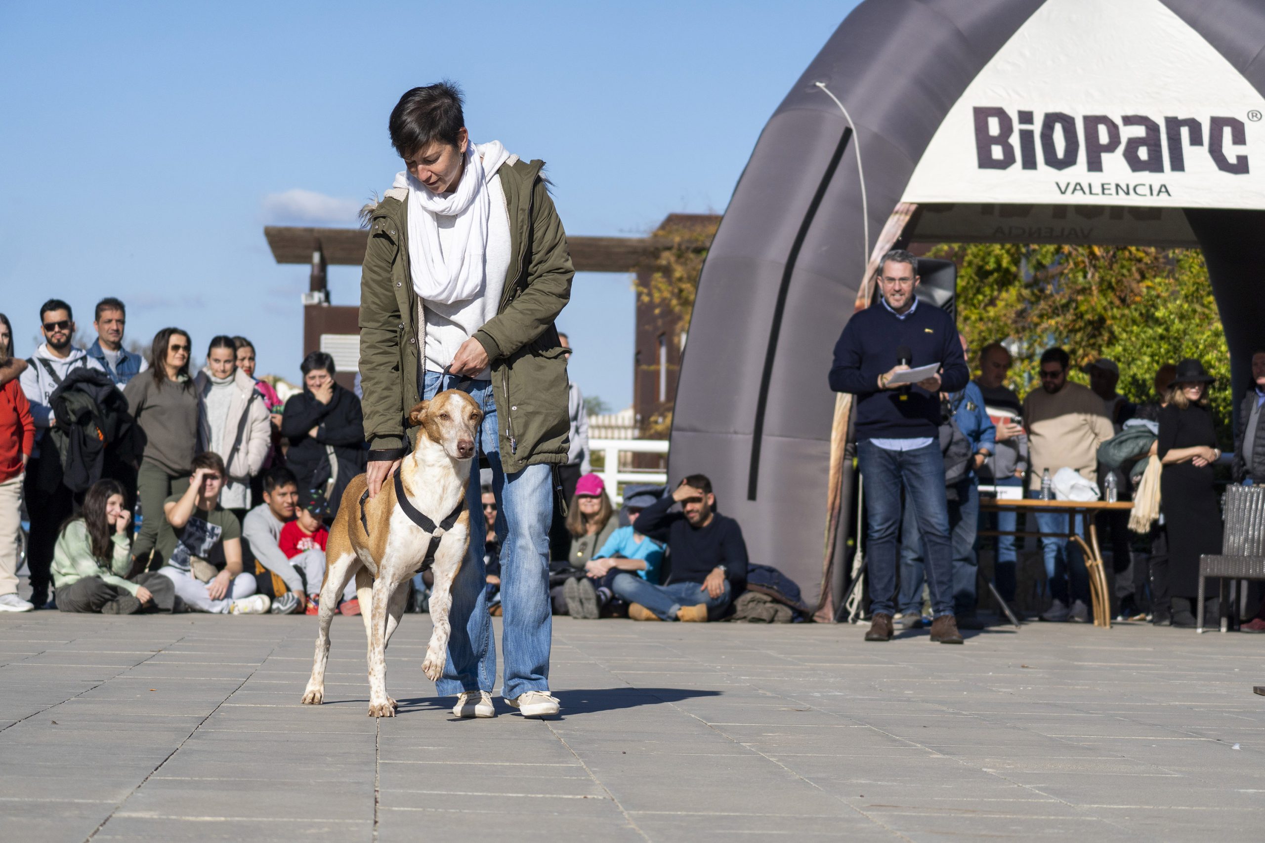El desfile contará con perros, víctimas de la DANA