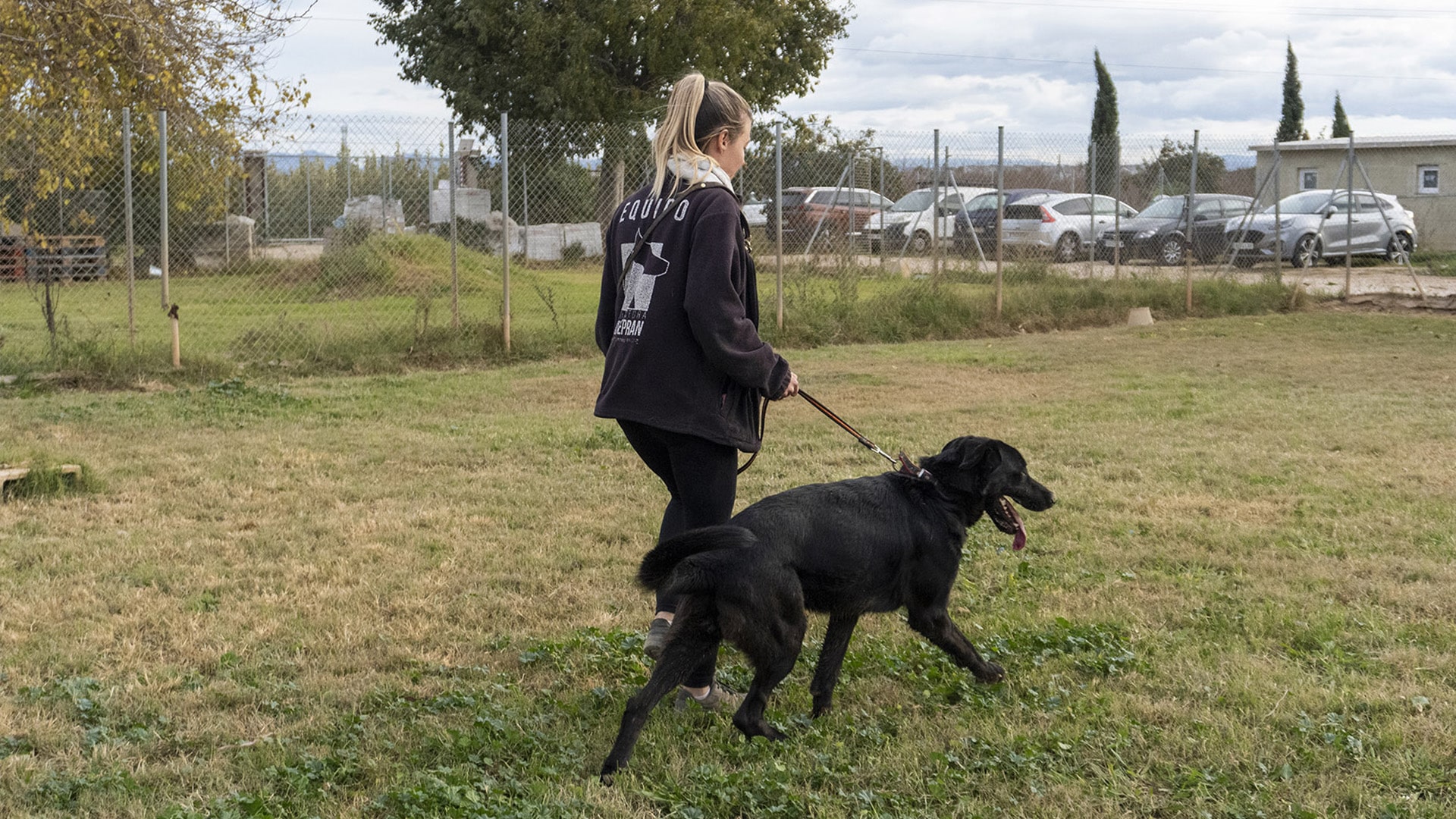 A lo largo de la jornada desfilaran más de 30 perros en busca de un hogar