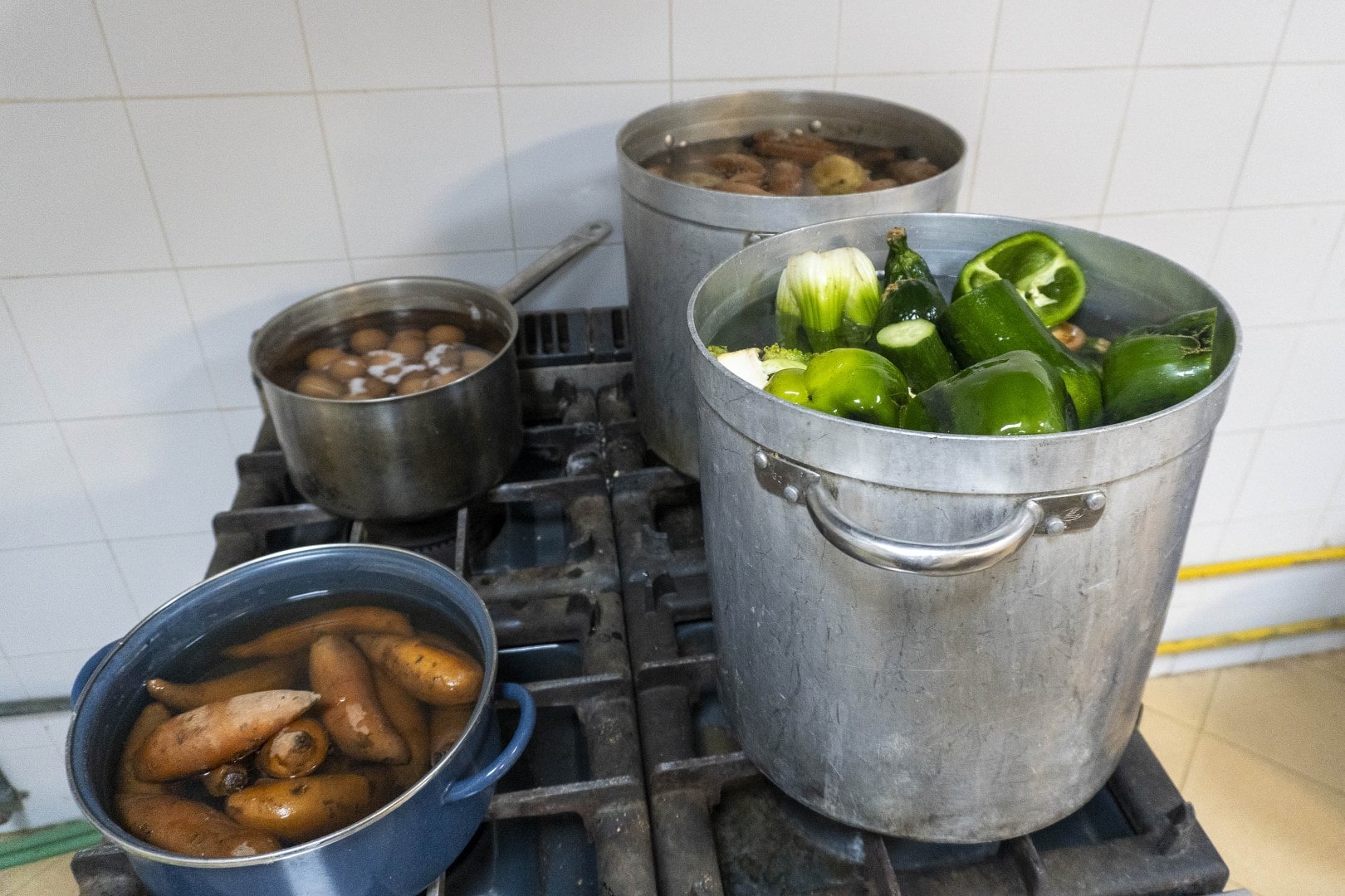 El equipo de BIOPARC Valencia prepara caldos calentitos para los animales