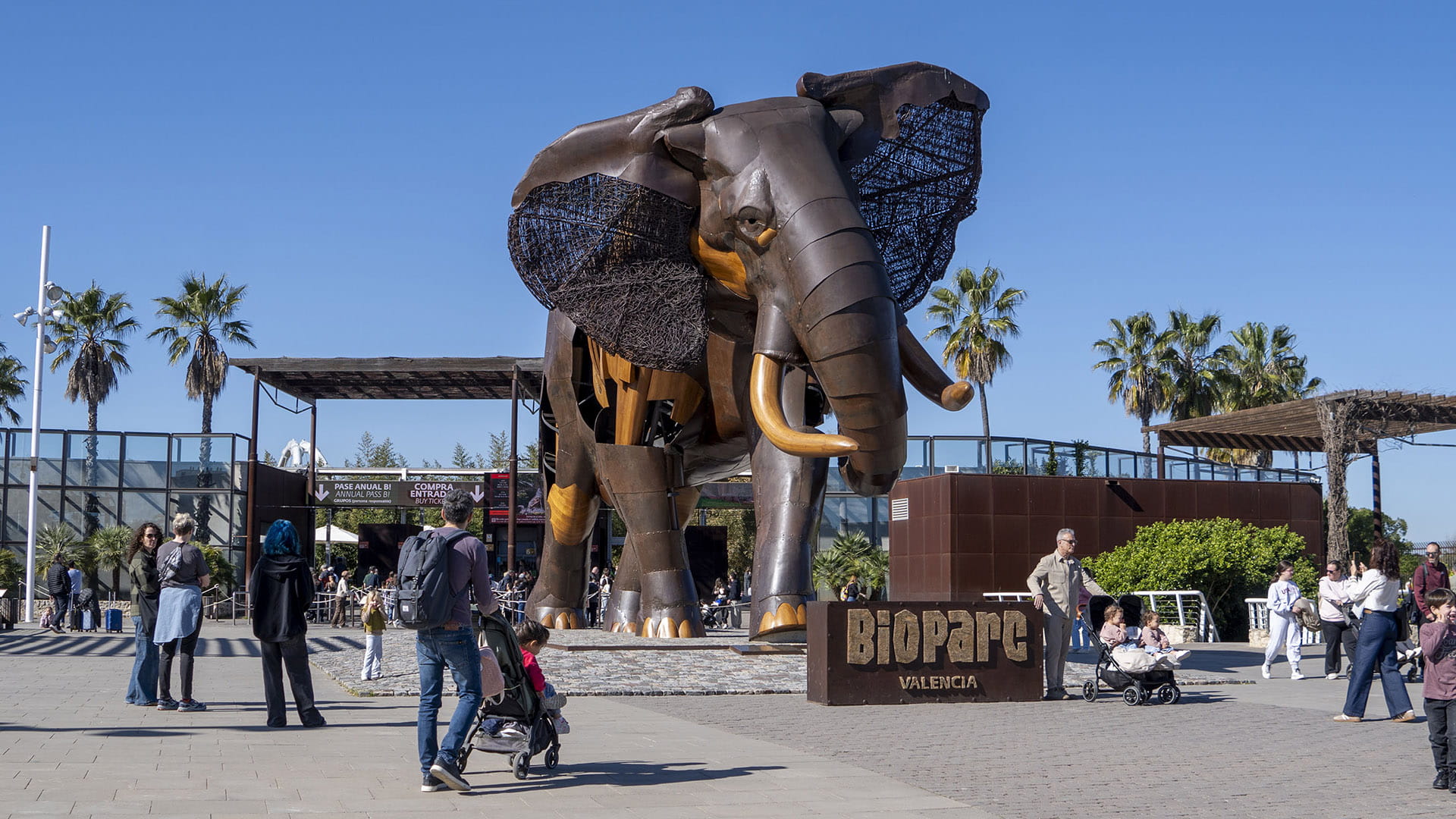 Tartas y sorpresas para animales y éxito de público en el primer día de fiesta por el 18º cumpleaños de BIOPARC Valencia