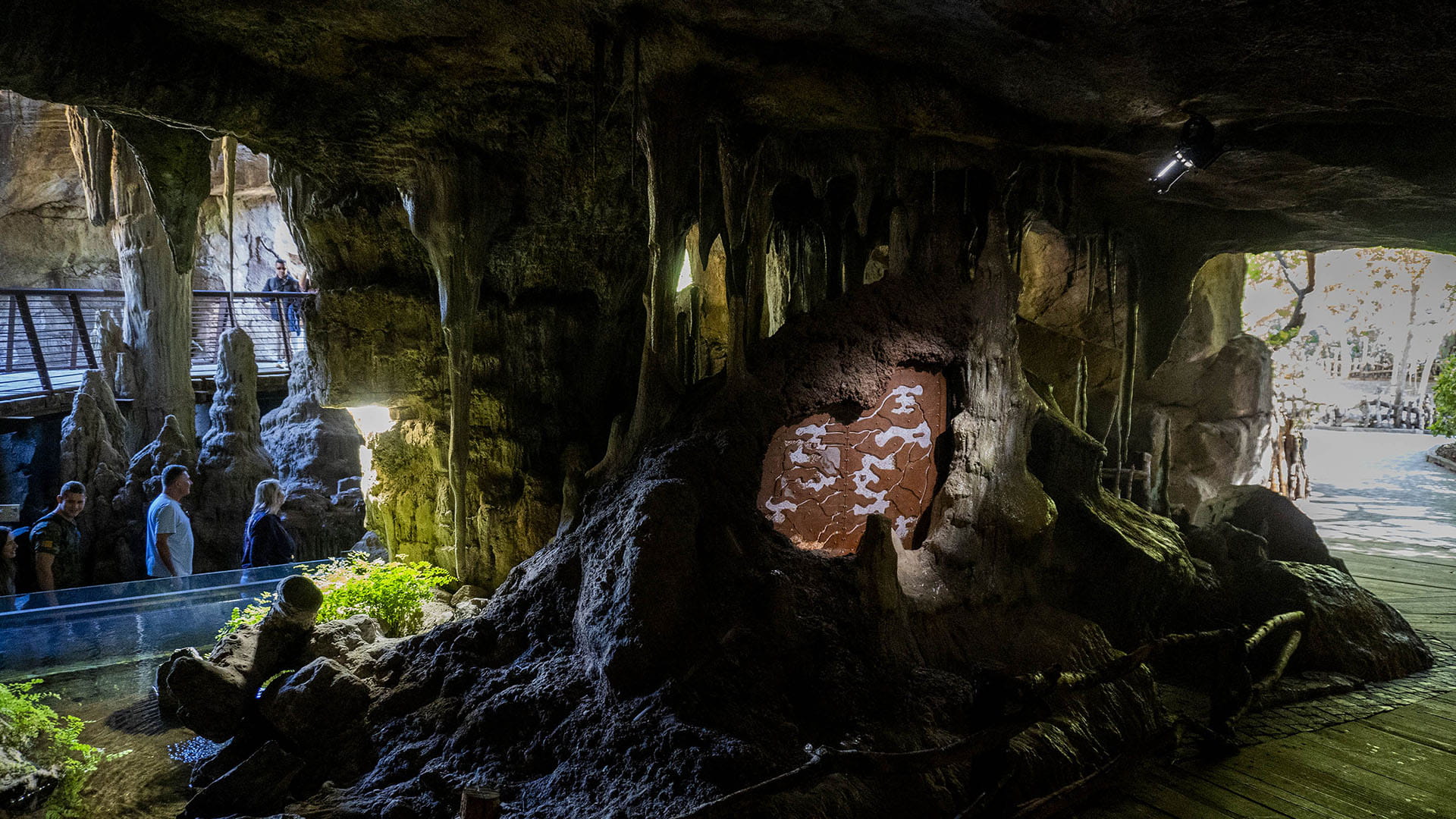 BIOPARC Valencia incorpora la única instalación del mundo para admirar a la hormiga gigante “cirujana”