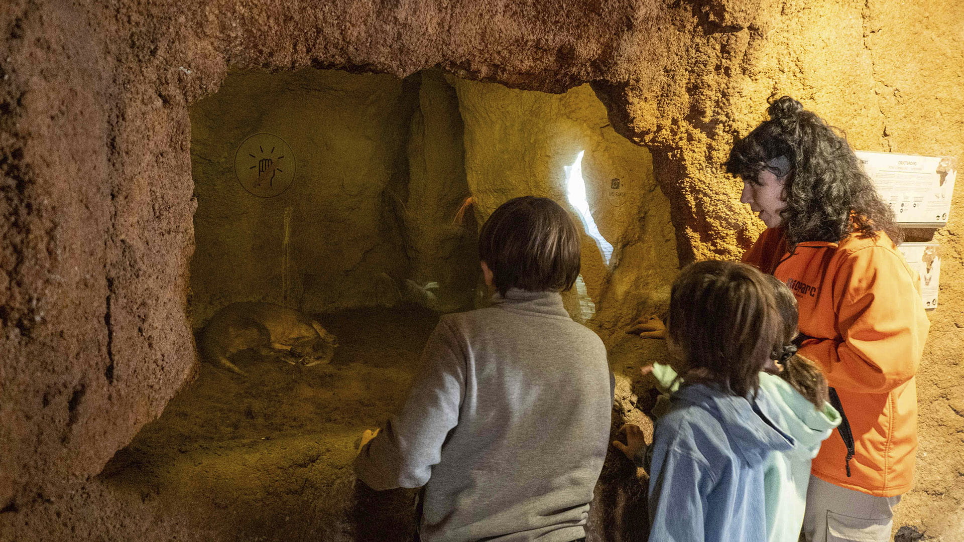 La cría del rarísimo cerdo hormiguero de BIOPARC Valencia ya puede verse con su madre en la madriguera