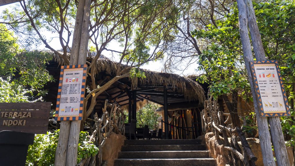 El rincon de Ndoki - zona restauracion BIOPARC Valencia