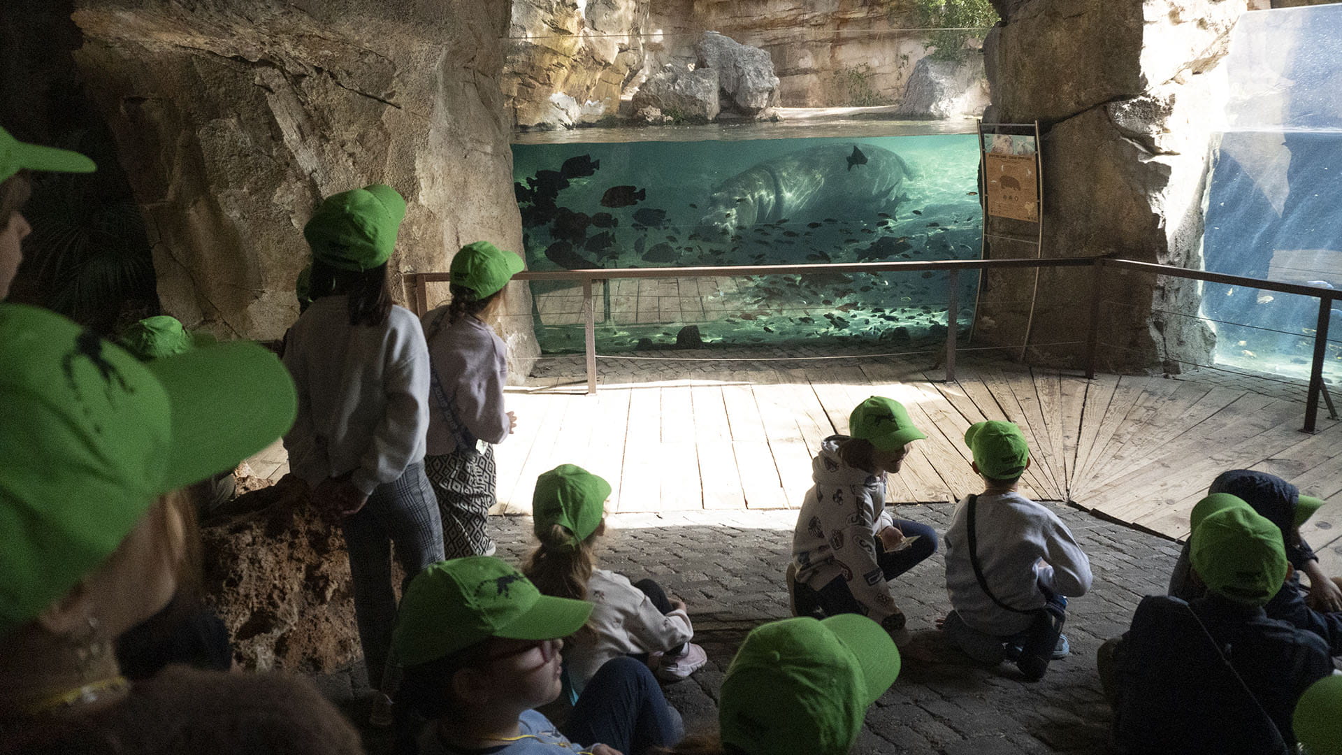 Expedición Africa la escuela de vacaciones de BIOPARC Valencia