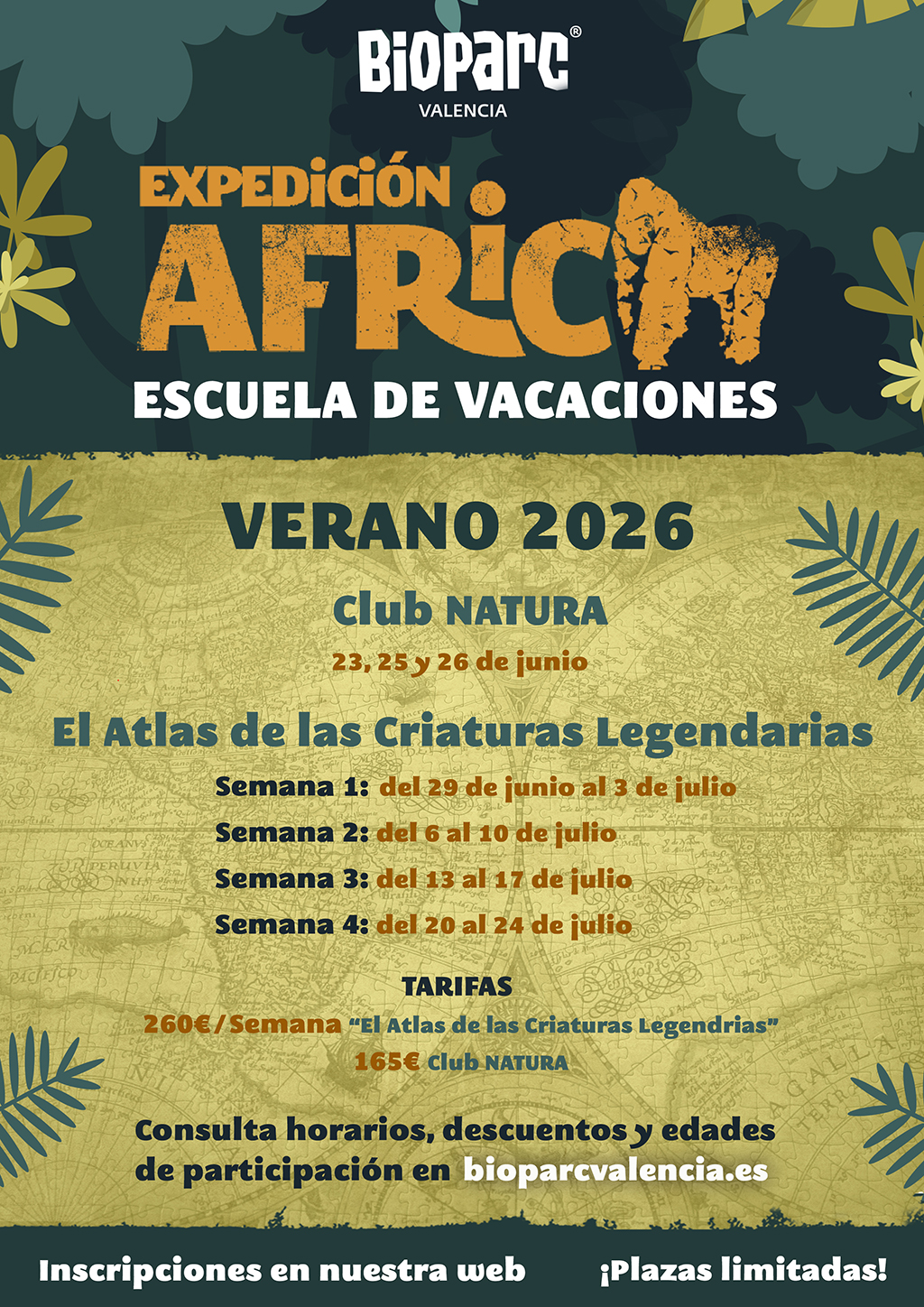 Escuela de verano 2026