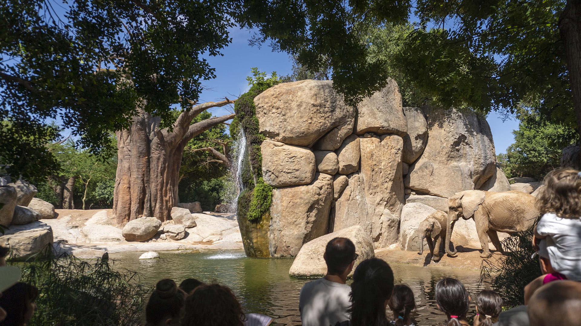 BIOPARC Valencia se consolida en el TOP 10 mundial de parques de animales y el TOP 5 de Europa