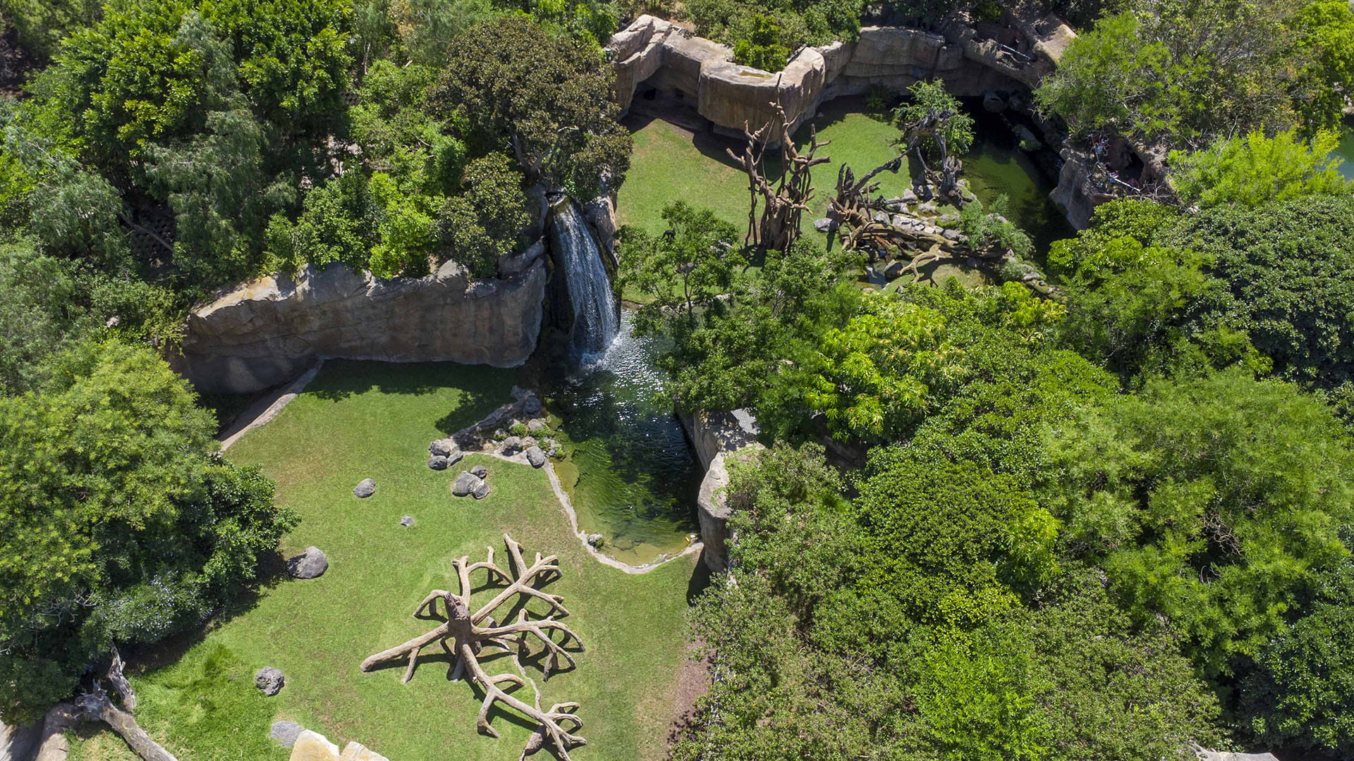 BIOPARC Valencia un refugio climático y un oasis de naturaleza salvaje