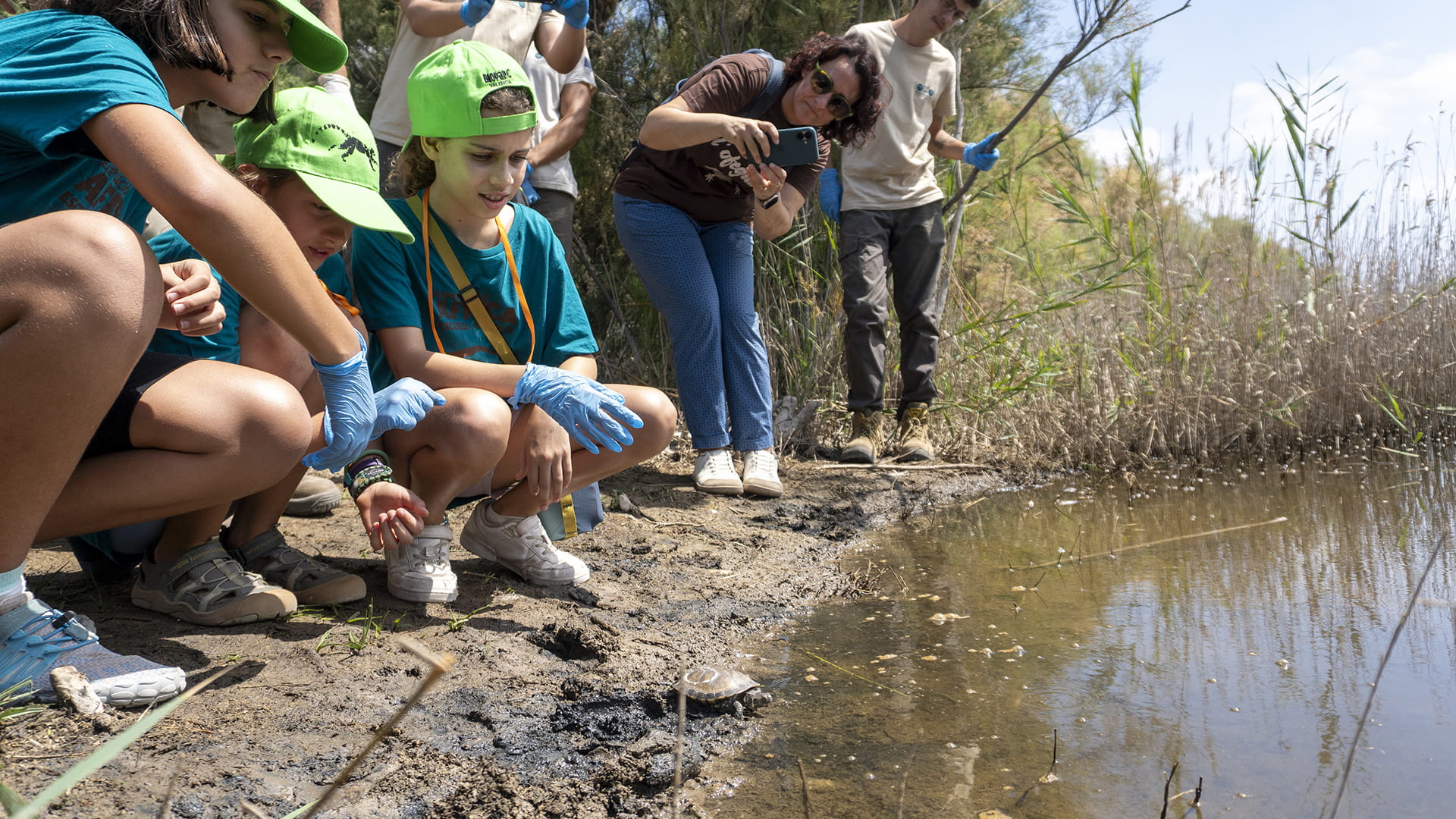 Niñas y niños de la escuela de verano de BIOPARC Valencia durante la reintroducción del galápago europeo
