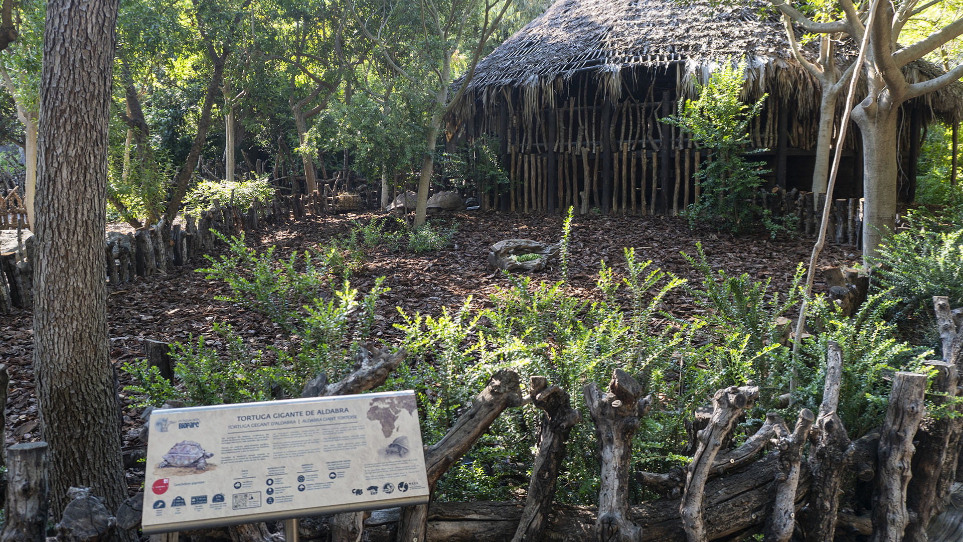 BIOPARC Valencia estrena una nueva instalación para la segunda tortuga terrestre más grande del mundo