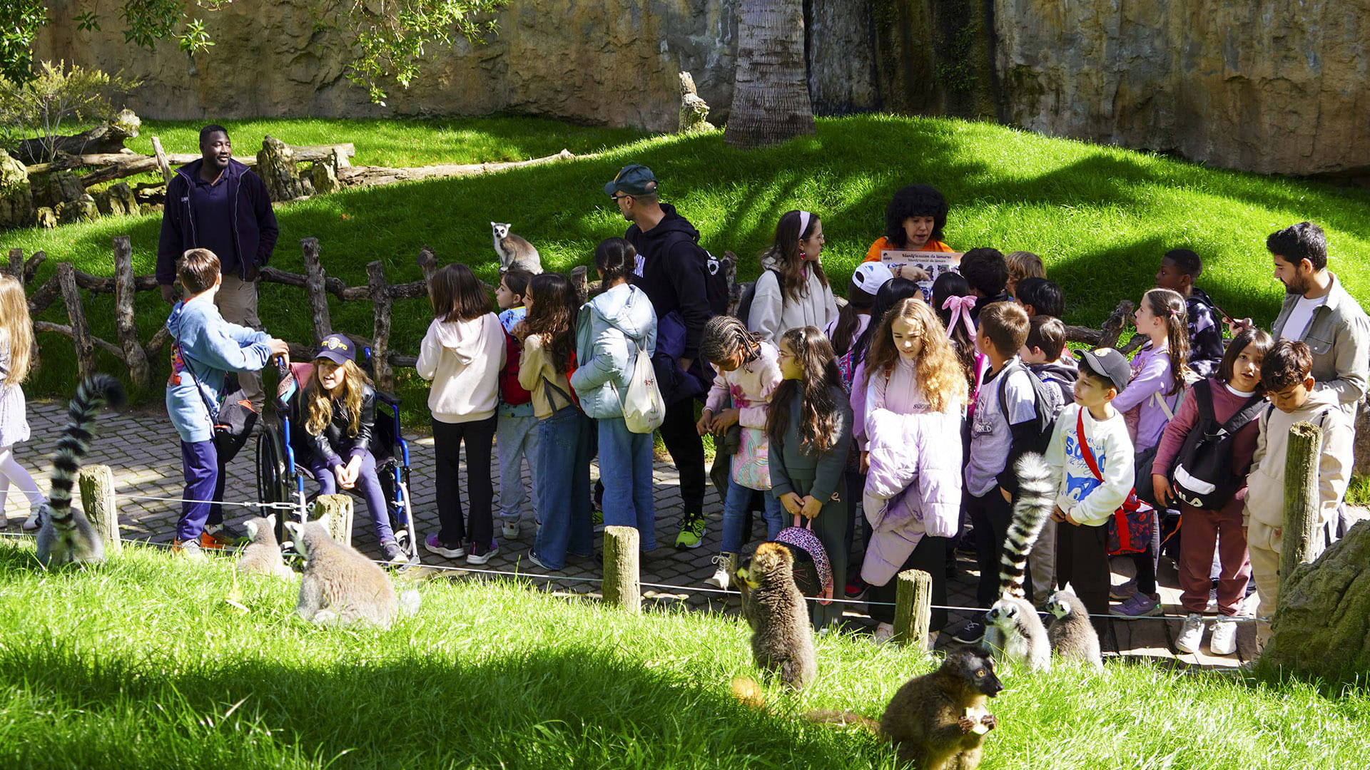 Grupo escolar en la isla de Madagascar de BIOPARC Valencia cara a cara con los lémures