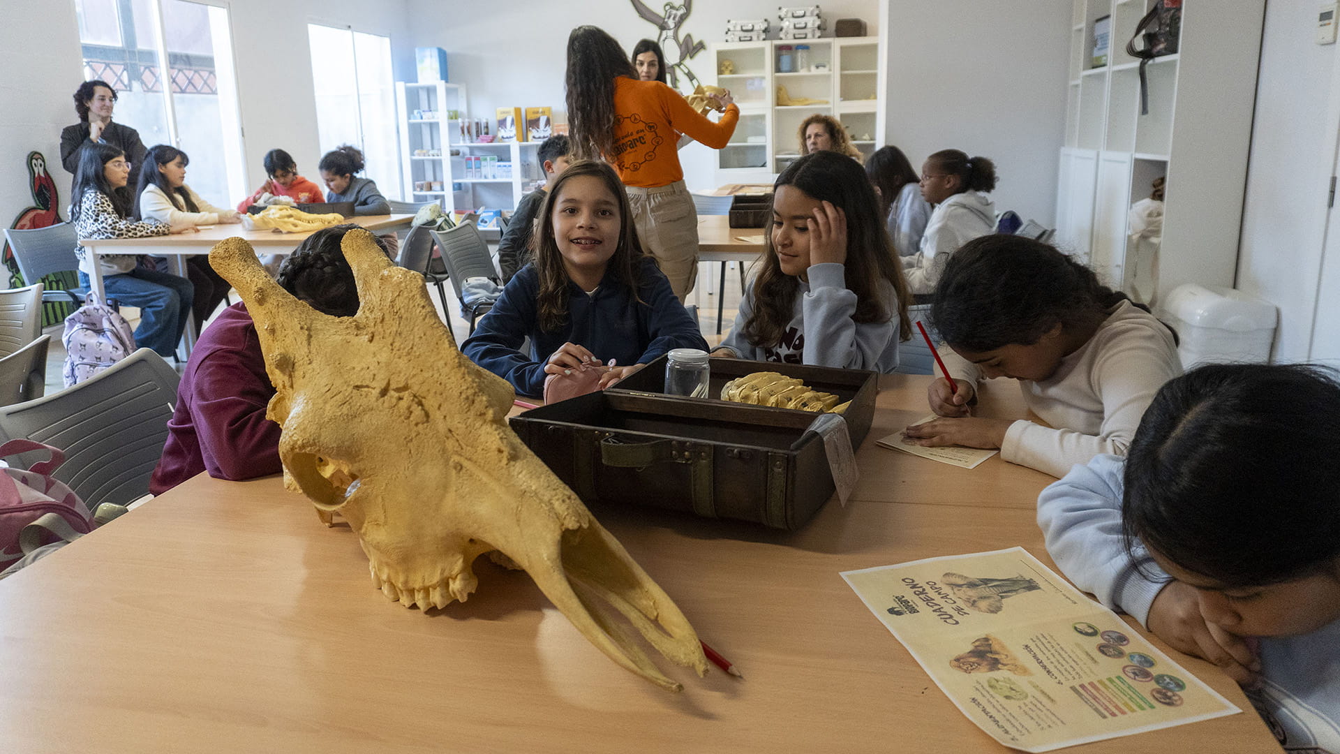 Talleres didácticos incluidos en la oferta escolar de BIOPARC Valencia