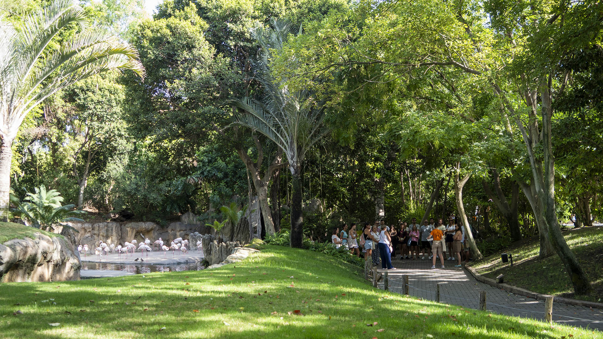 “Aforo completo” con 250 centros educativos en la presentación de la oferta escolar de BIOPARC Valencia