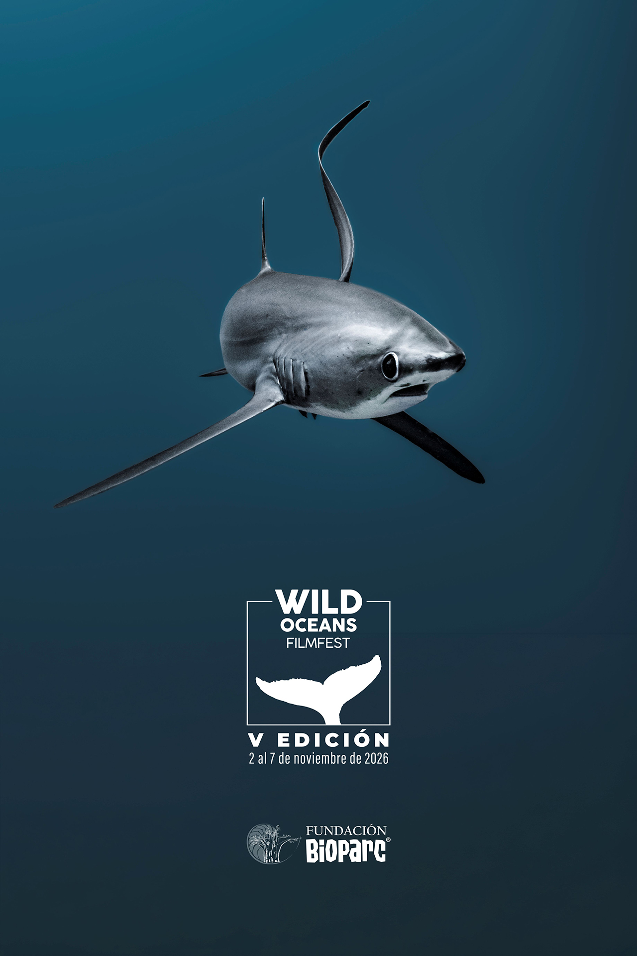 Wild Oceans FilmFest