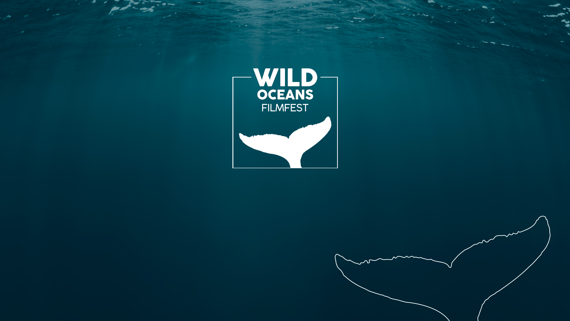 Wild Oceans FilmFest