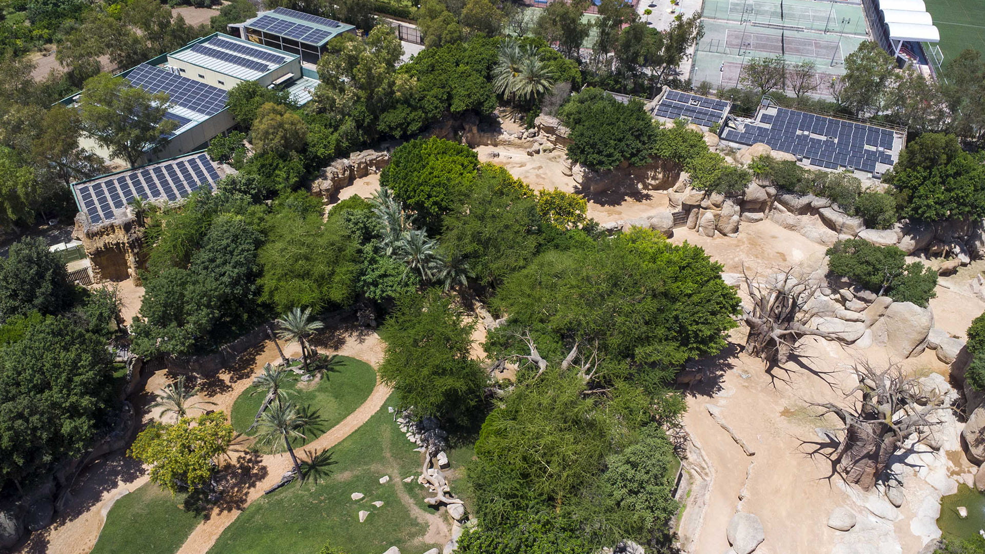 BIOPARC Valencia reduce cerca del 70% su huella de carbono y refuerza su compromiso frente al cambio climático