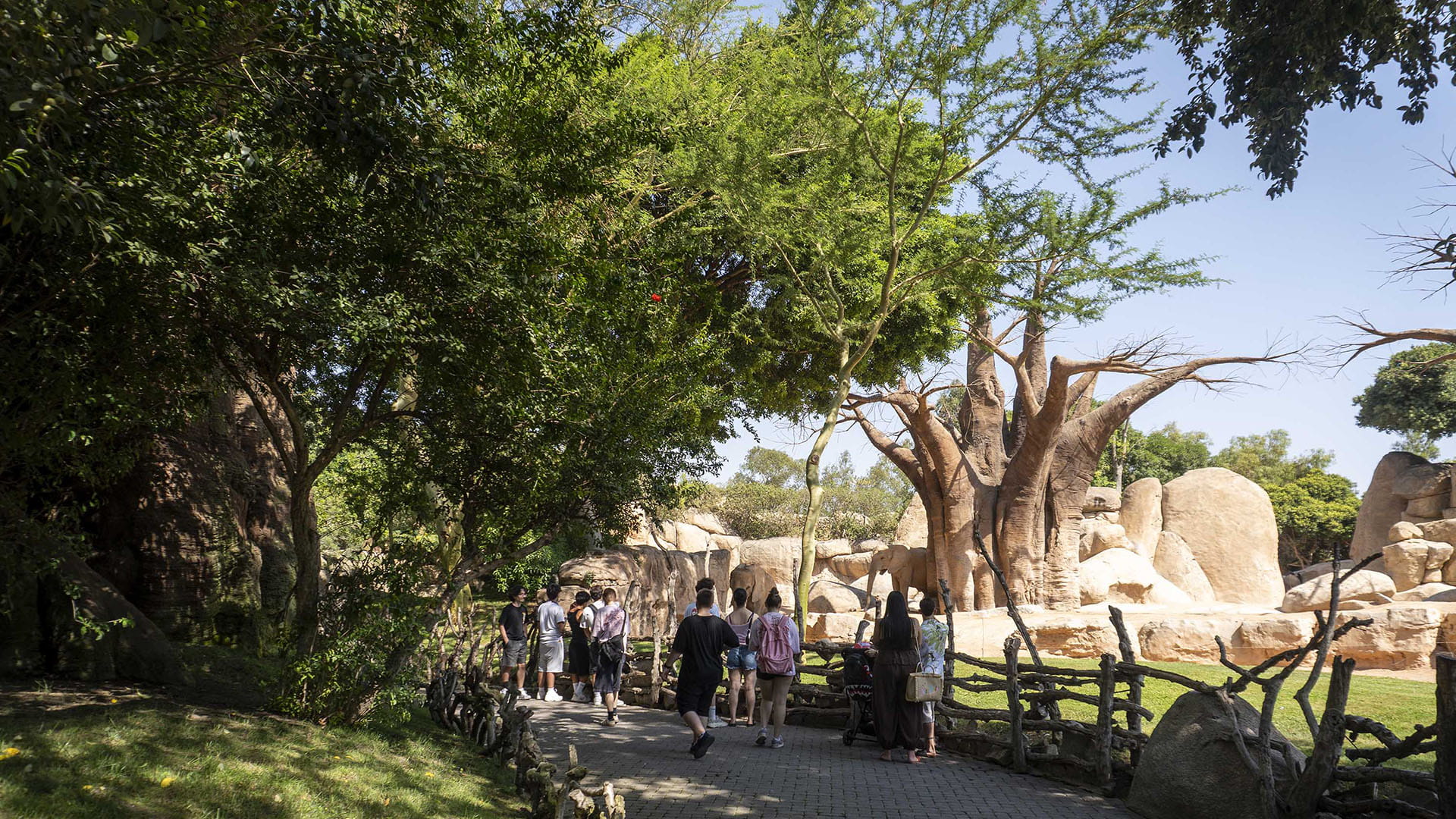 BIOPARC Valencia, un oasis climático natural